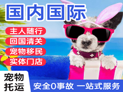 舟山普陀山空运代理国际宠物托运 【国
